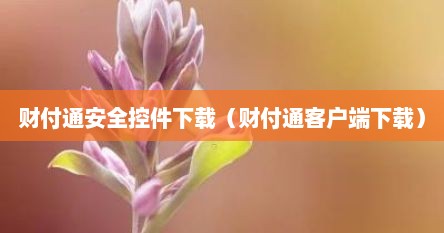 财付通安全控件下载（财付通客户端下载）