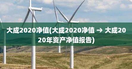 大成2020净值(大成2020净值 → 大成2020年资产净值报告)