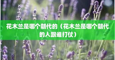 花木兰是哪个朝代的（花木兰是哪个朝代的人跟谁打仗）