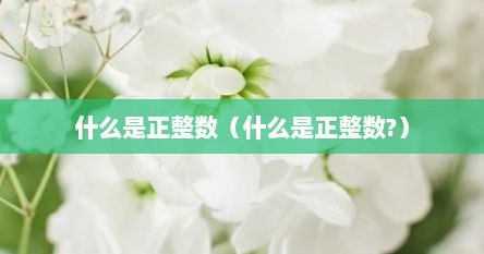 什么是正整数（什么是正整数?）