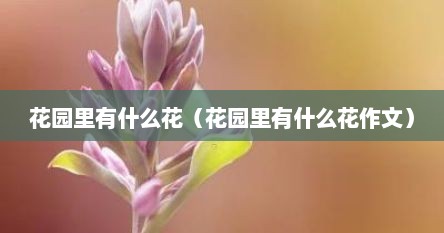 花园里有什么花（花园里有什么花作文）