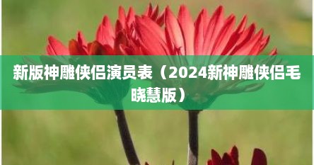 新版神雕侠侣演员表（2024新神雕侠侣毛晓慧版）