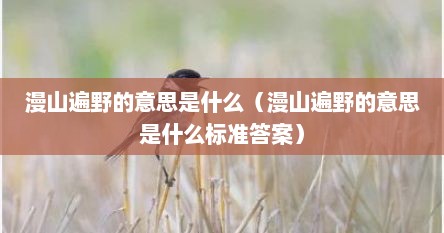 漫山遍野的意思是什么（漫山遍野的意思是什么标准答案）