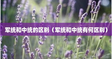 军统和中统的区别（军统和中统有何区别）