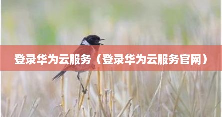 登录华为云服务（登录华为云服务官网）