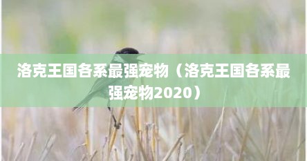 洛克王国各系最强宠物（洛克王国各系最强宠物2020）