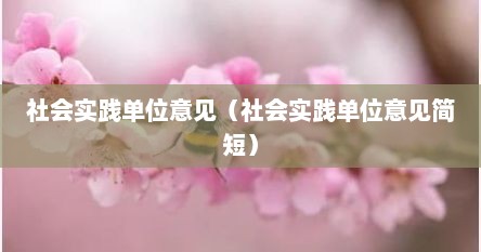 社会实践单位意见（社会实践单位意见简短）