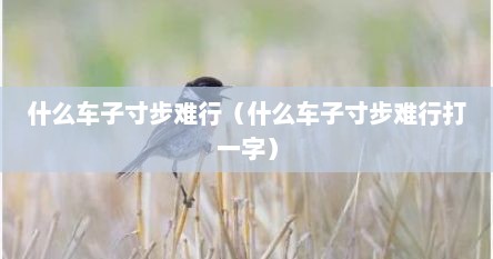 什么车子寸步难行（什么车子寸步难行打一字）