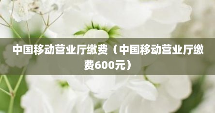 中国移动营业厅缴费（中国移动营业厅缴费600元）