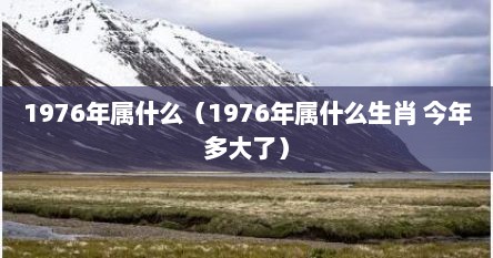 1976年属什么（1976年属什么生肖 今年多大了）