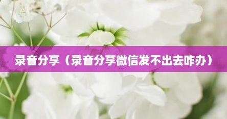 录音分享（录音分享微信发不出去咋办）