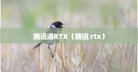 腾讯通RTX（腾讯 rtx）