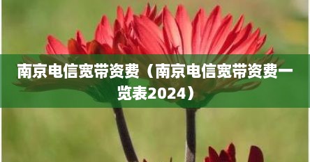 南京电信宽带资费（南京电信宽带资费一览表2024）