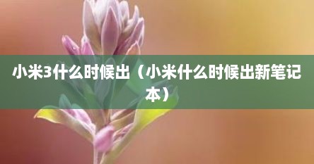 小米3什么时候出（小米什么时候出新笔记本）