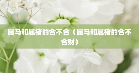 属马和属猪的合不合（属马和属猪的合不合财）