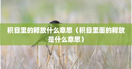 积目里的释放什么意思（积目里面的释放是什么意思）