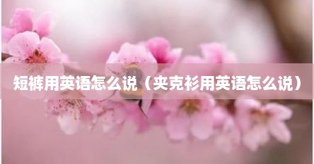 短裤用英语怎么说（夹克衫用英语怎么说）