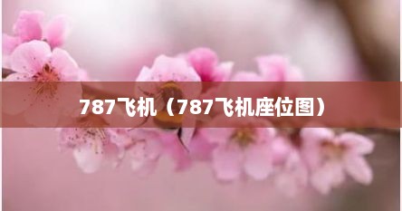 787飞机（787飞机座位图）