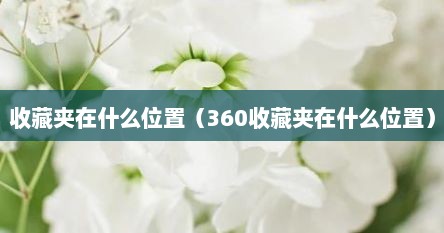 收藏夹在什么位置（360收藏夹在什么位置）