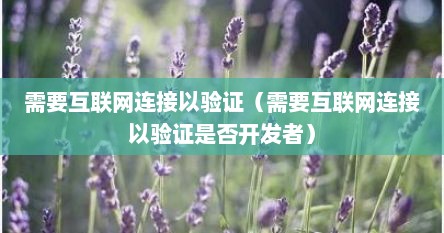 需要互联网连接以验证（需要互联网连接以验证是否开发者）