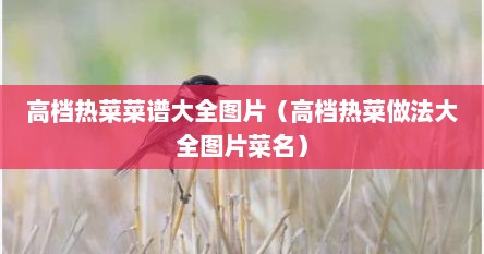 高档热菜菜谱大全图片（高档热菜做法大全图片菜名）