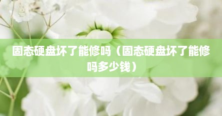 固态硬盘坏了能修吗（固态硬盘坏了能修吗多少钱）