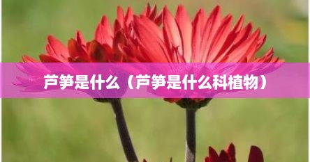 芦笋是什么（芦笋是什么科植物）