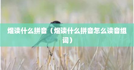 煜读什么拼音（煜读什么拼音怎么读音组词）