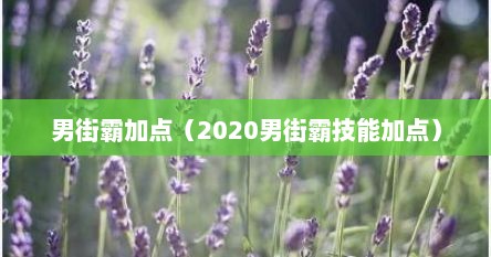 男街霸加点（2020男街霸技能加点）