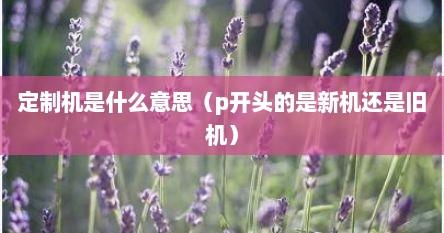 定制机是什么意思（p开头的是新机还是旧机）