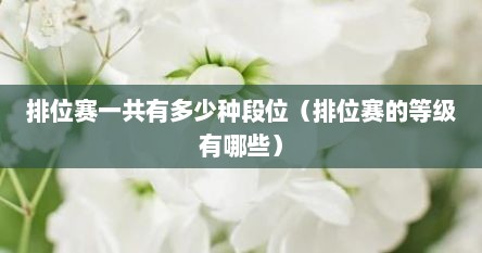 排位赛一共有多少种段位（排位赛的等级有哪些）