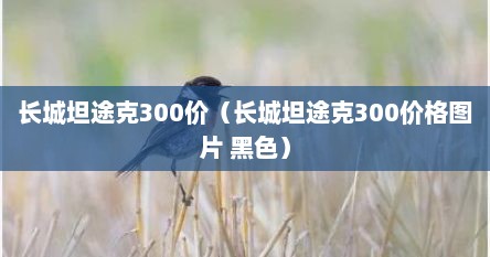 长城坦途克300价（长城坦途克300价格图片 黑色）