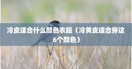 冷皮适合什么颜色衣服（冷黄皮适合穿这6个颜色）