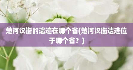 楚河汉街的遗迹在哪个省(楚河汉街遗迹位于哪个省？)