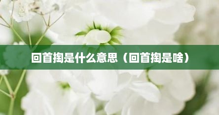 回首掏是什么意思（回首掏是啥）