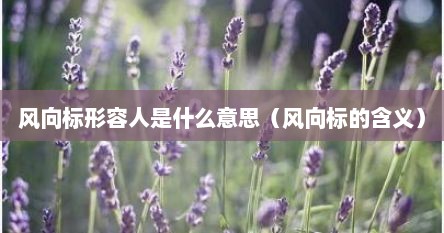 风向标形容人是什么意思（风向标的含义）