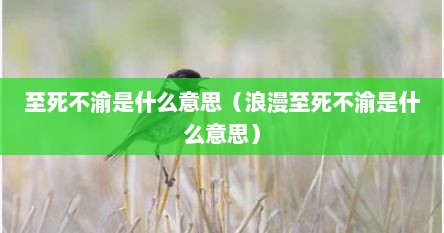 至死不渝是什么意思（浪漫至死不渝是什么意思）