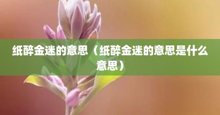 纸醉金迷的意思（纸醉金迷的意思是什么意思）