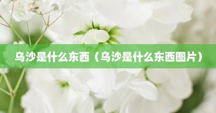 乌沙是什么东西（乌沙是什么东西图片）