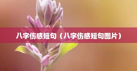 八字伤感短句（八字伤感短句图片）