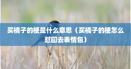 买橘子的梗是什么意思（买橘子的梗怎么怼回去表情包）