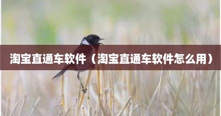 淘宝直通车软件（淘宝直通车软件怎么用）