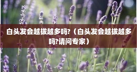 白头发会越拔越多吗?（白头发会越拔越多吗?请问专家）