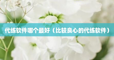 代练软件哪个最好（比较良心的代练软件）