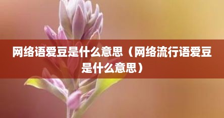 网络语爱豆是什么意思（网络流行语爱豆是什么意思）