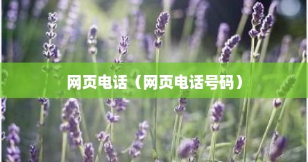 网页电话（网页电话号码）