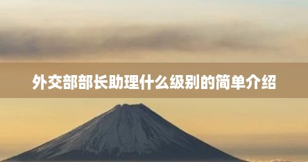 外交部部长助理什么级别的简单介绍