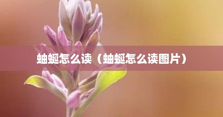 蚰蜒怎么读（蚰蜒怎么读图片）