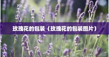 玫瑰花的包装（玫瑰花的包装图片）