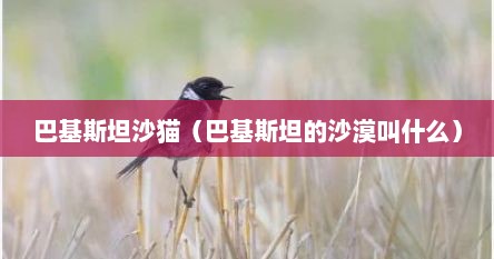 巴基斯坦沙猫（巴基斯坦的沙漠叫什么）